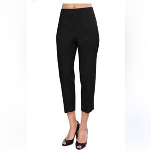 Everlane bi stretch work pants size 16, black